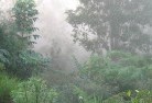 Koonungalandscaping-irrigation-4.jpg; ?>